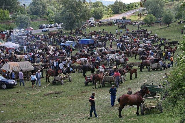 The animal market in Alma - Dumbrăveni, one of the largest in the country.