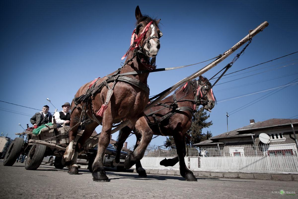 At the Horse Easter in Transylvania, one of the oldest celebrations.