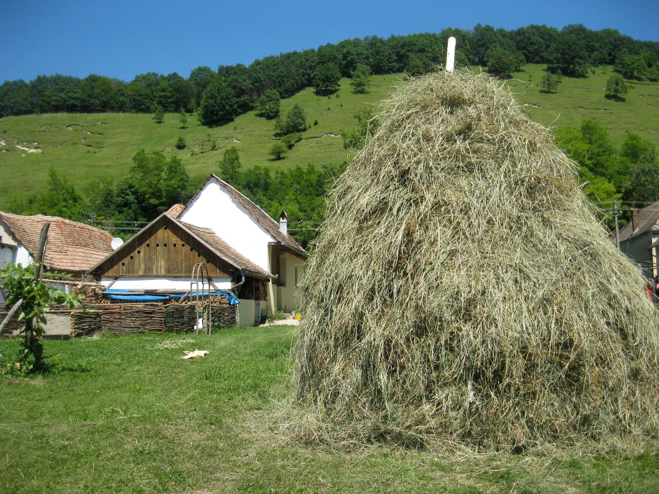 House in Nature - A Country Vacation in Transylvania