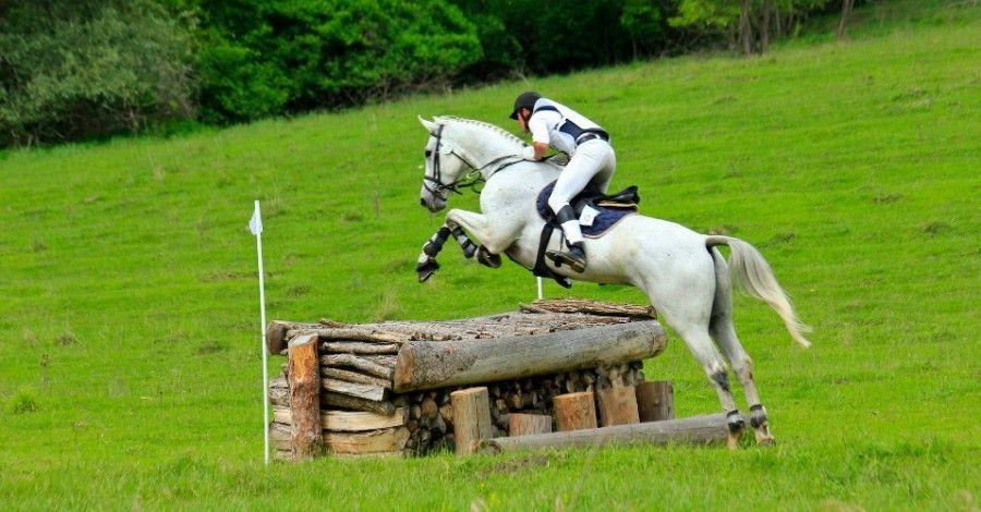 Transylvania Horse Show