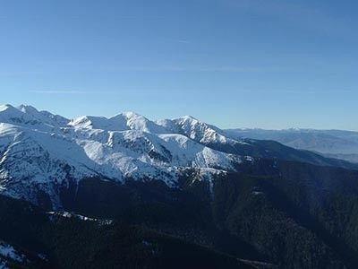 The Alpine Meadow in the Făgăraș Mountains
