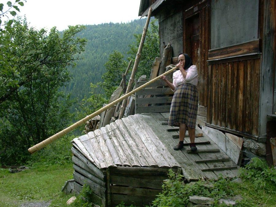 Măgura pies with blueberries from Aunt Domnica and the sound of the horns.