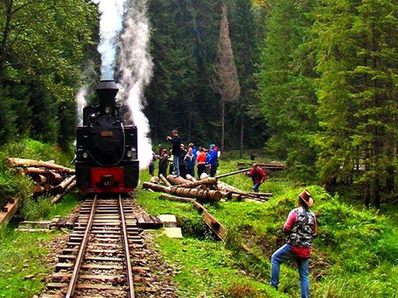 Ride on the Mocăniță: 14 kilometers between Sovata and Campul Cetății, Mureș.