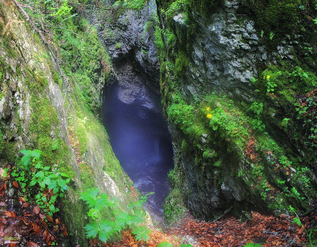 The Living Fire Cave