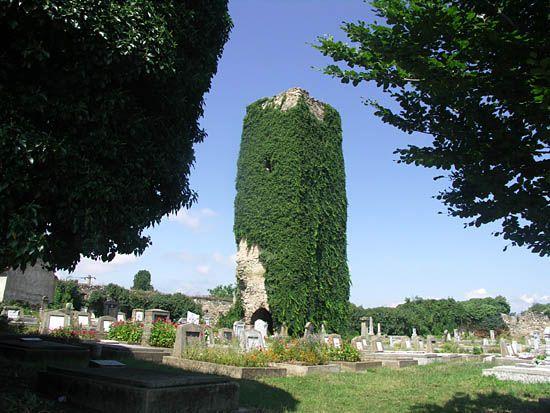 The Forgotten Fortress of Petreşti