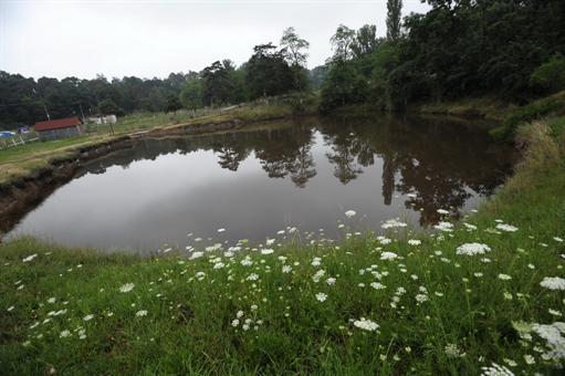Ocna Sibiului, the mystery of the bottomless lakes