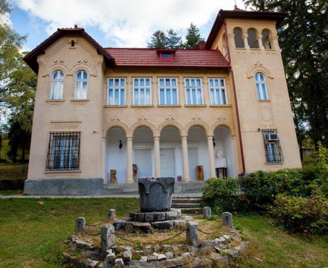 The Goga Manor in Ciucea